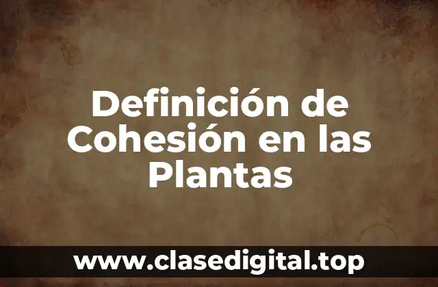 Definición de Cohesión en las Plantas