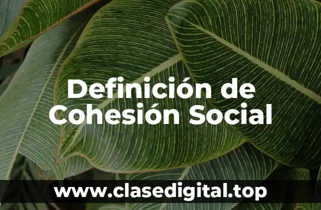 Definición técnica de Cohesión Social