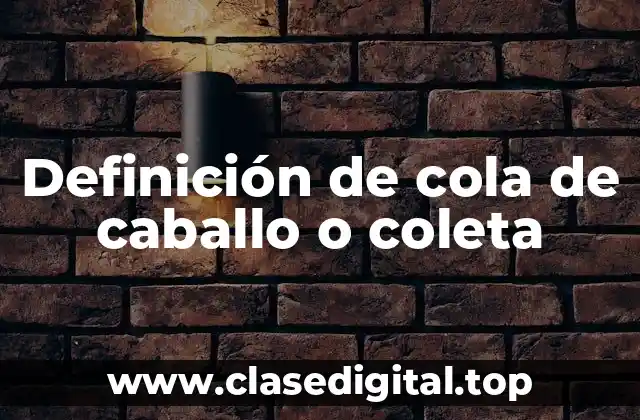 Definición de cola de caballo o coleta