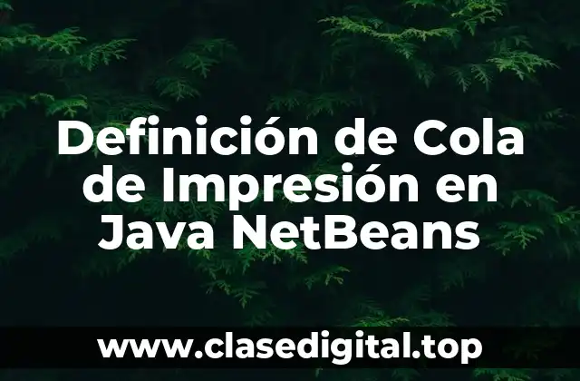 Definición de Cola de Impresión en Java NetBeans