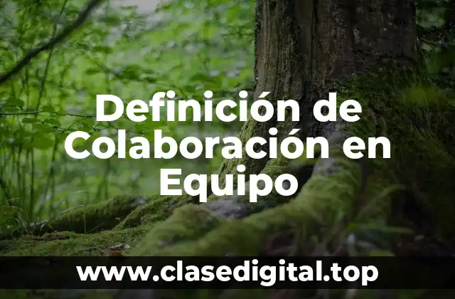 Definición de Colaboración en Equipo
