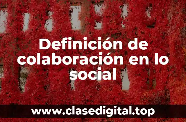 Ejemplos de colaboración en lo social