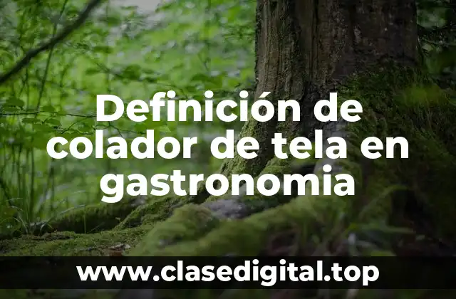 Definición de colador de tela en gastronomia
