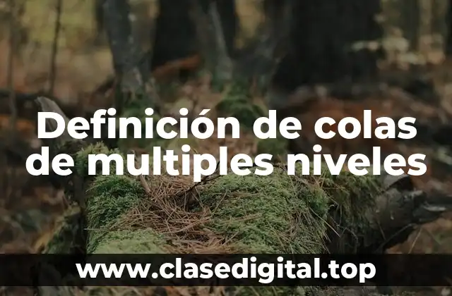 Ejemplos de colas de multiples niveles