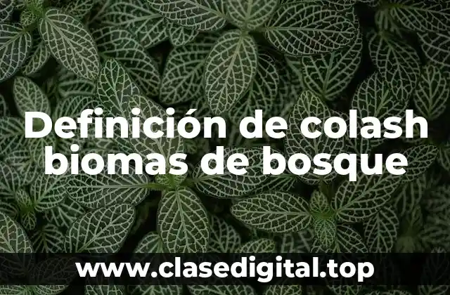 Definición de colash biomas de bosque