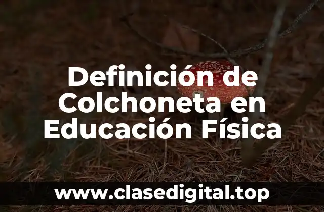 Definición de Colchoneta en Educación Física