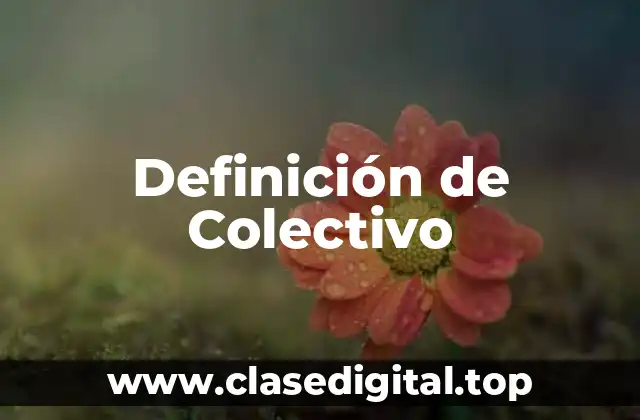 Definición de Colectivo