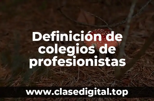 Definición de colegios de profesionistas