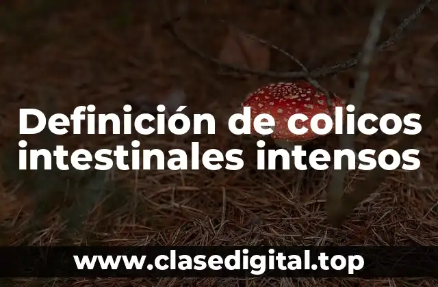 Definición de colicos intestinales intensos