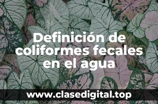 Definición de coliformes fecales en el agua