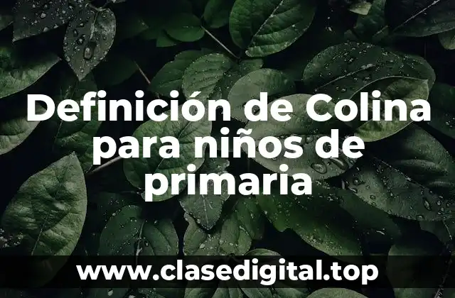 Definición de Colina para niños de primaria