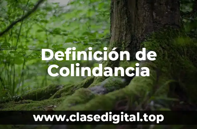 Definición de Colindancia