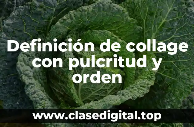 Definición de collage con pulcritud y orden