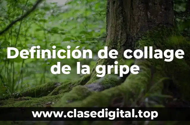 Definición de collage de la gripe