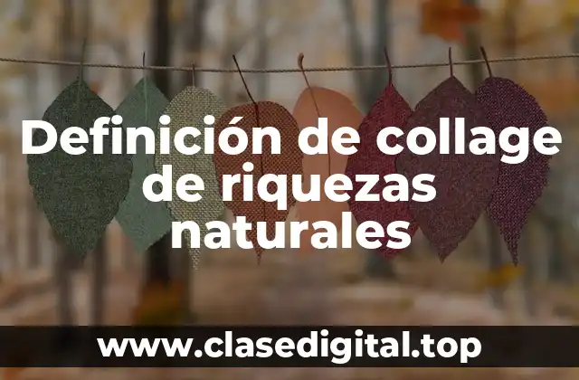 Definición de collage de riquezas naturales