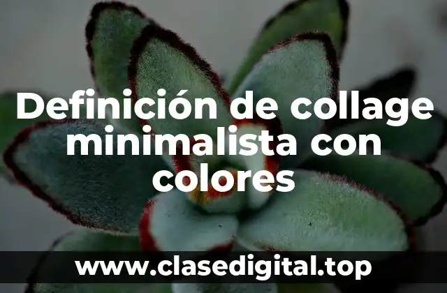 Definición de collage minimalista con colores