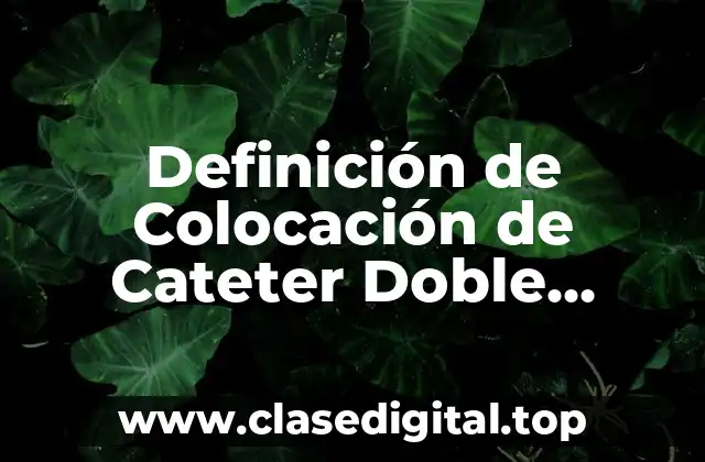 Definición Técnica de Colocación de Cateter Doble Lumen