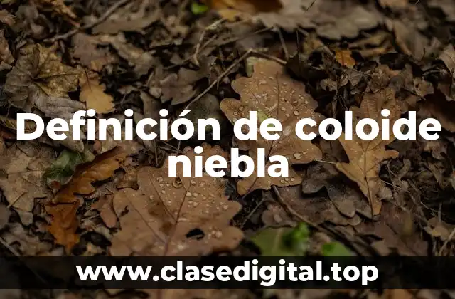 Definición de coloide niebla