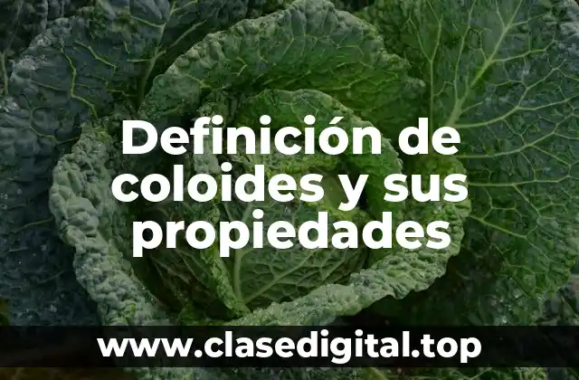 Ejemplos de coloides