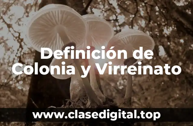 Definición de Colonia y Virreinato