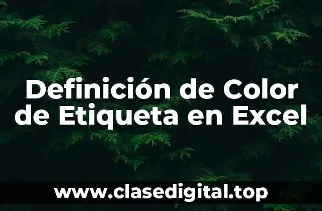 Definición de Color de Etiqueta en Excel