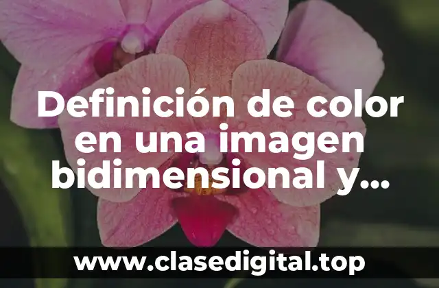 Definición de color en una imagen bidimensional y tridimensional