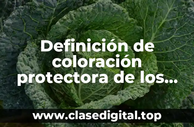 Definición de coloración protectora de los armadillos