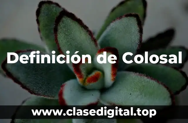 Definición de Colosal