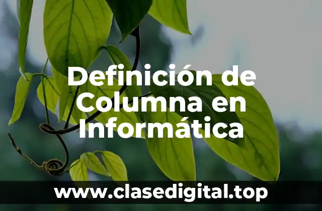 Definición técnica de columna
