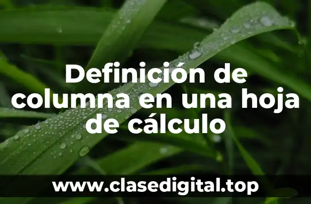 Definición de columna en una hoja de cálculo