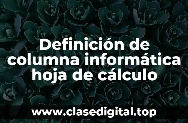 Definición de columna informática hoja de cálculo
