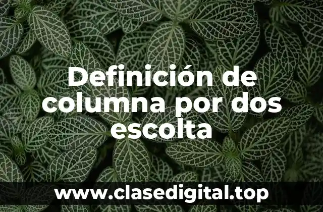 Definición de columna por dos escolta