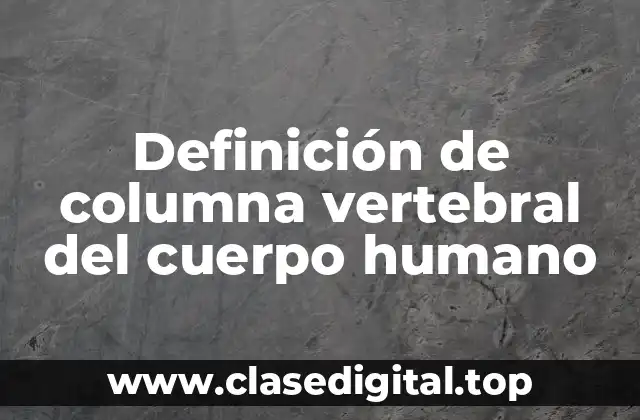 Definición de columna vertebral del cuerpo humano