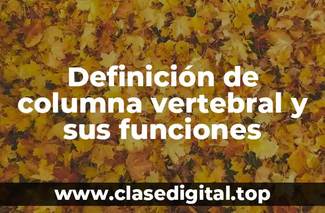 Definición de columna vertebral y sus funciones