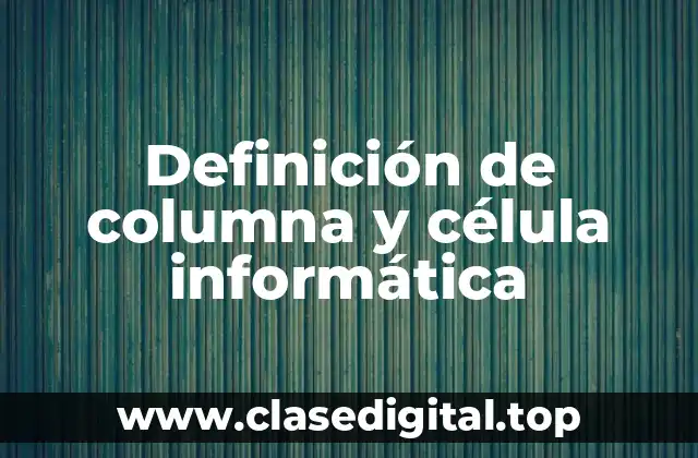 Definición de columna y célula informática