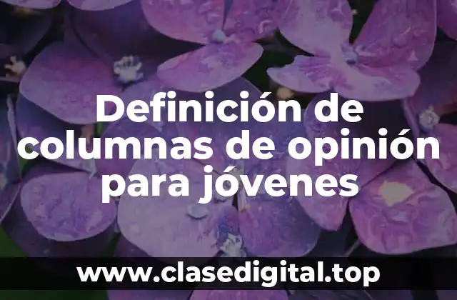 Definición de columnas de opinión para jóvenes