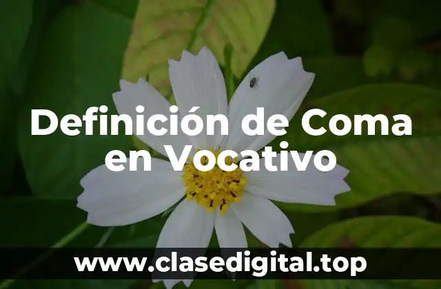 Definición de Coma en Vocativo
