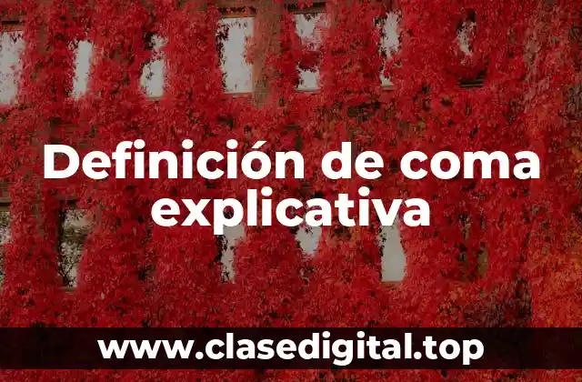 Definición de coma explicativa