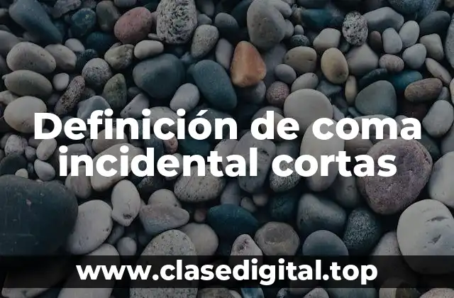 Definición de coma incidental cortas