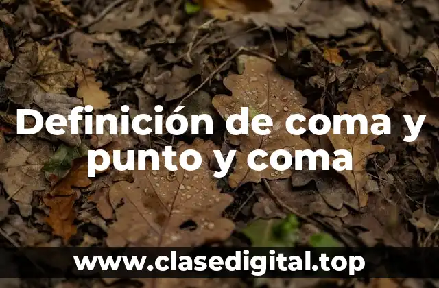 Definición de coma y punto y coma