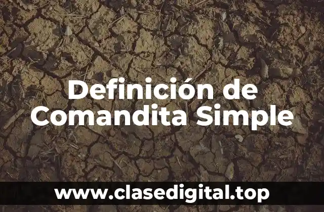 Definición de Comandita Simple