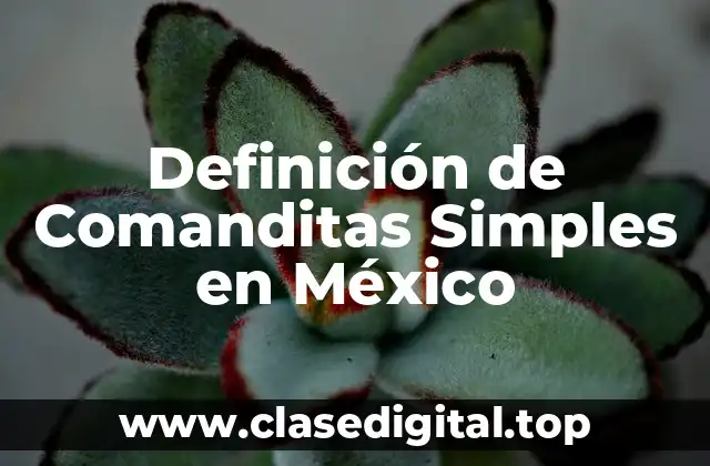 Definición de Comanditas Simples en México