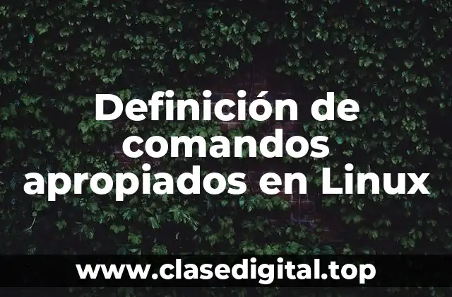 Definición de comandos apropiados en Linux