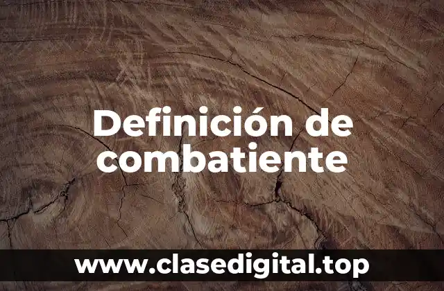 Definición de combatiente