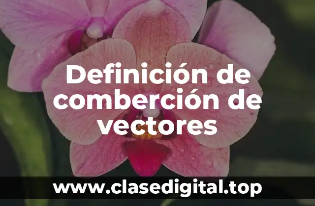 Definición de comberción de vectores