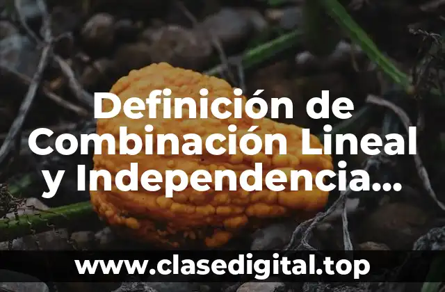 Definición de Combinación Lineal y Independencia Lineal