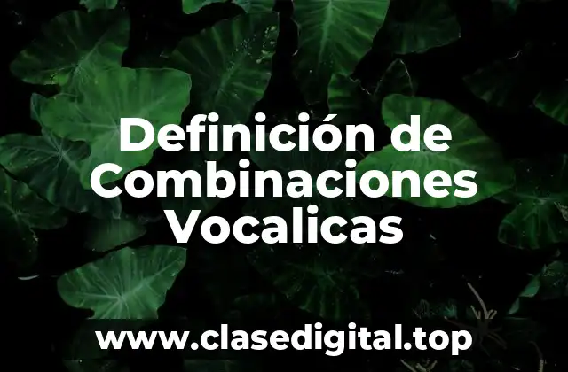 Definición de Combinaciones Vocalicas