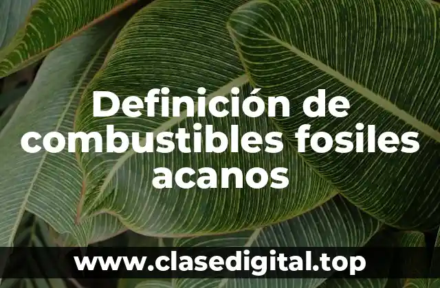 Definición de combustibles fosiles acanos