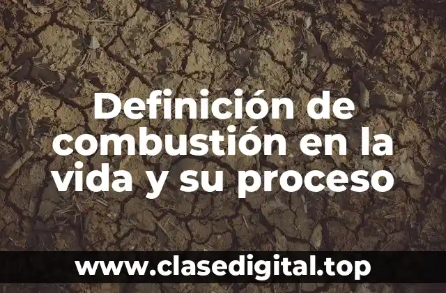 Ejemplos de combustión