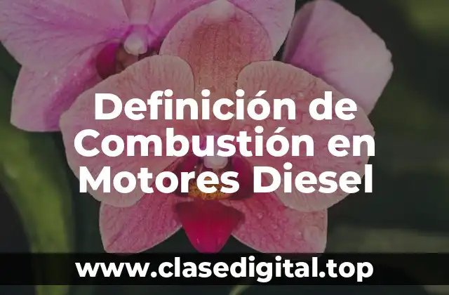 Definición de Combustión en Motores Diesel
